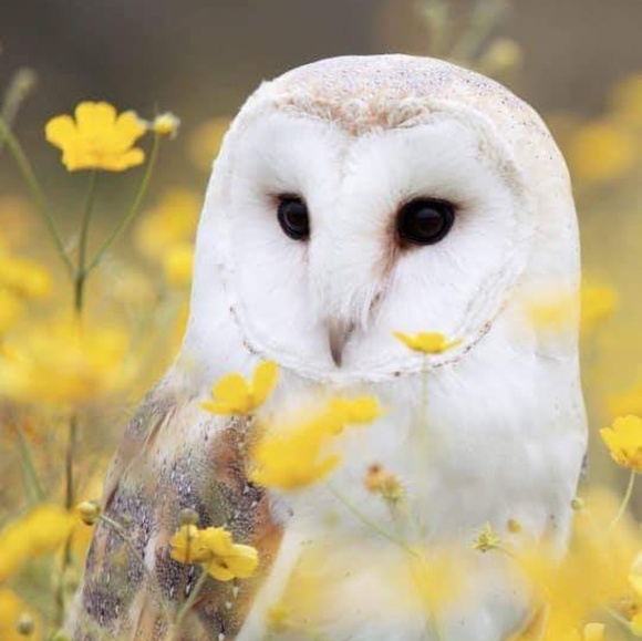 Hello! - Picture 6 of 7